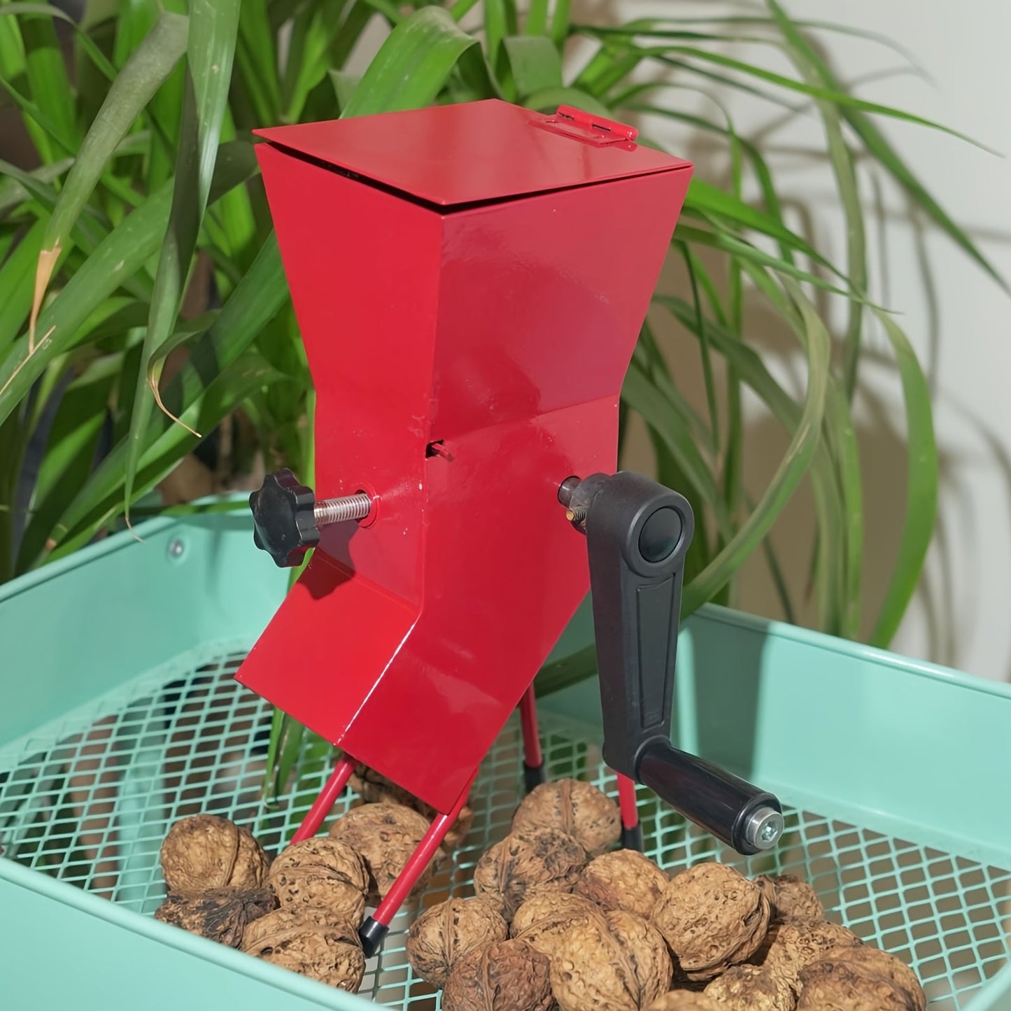 Small Hand Crank Pecan Cracker - All Steel Nut Cracker Machine for Nuts, Sturdy and Adjustable Cute Sheller Device.