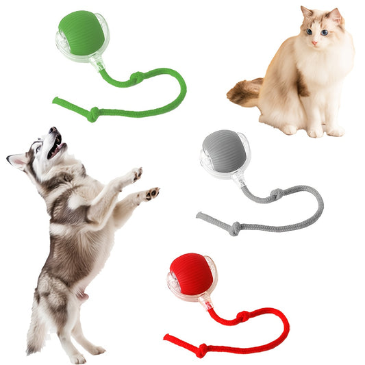 USB-rechargeable interactive cat toy with durable silicone ball and cartoon design, provides automatic rolling entertainment for small breed indoor play and scratching.