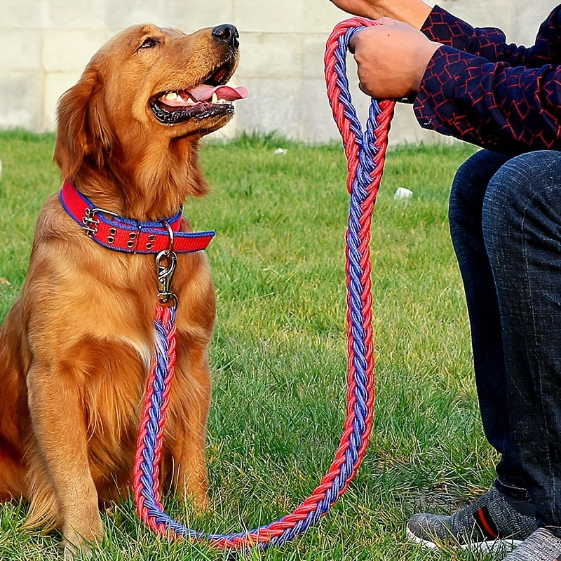 Heavy duty dog collar and leash set with braided training leash.