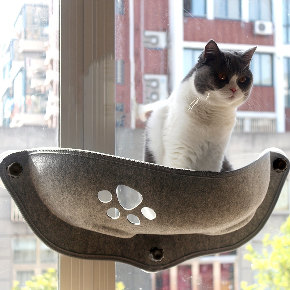 Crescent-shaped suction cup cat hammock for small and medium cats to sleep in sunlight.