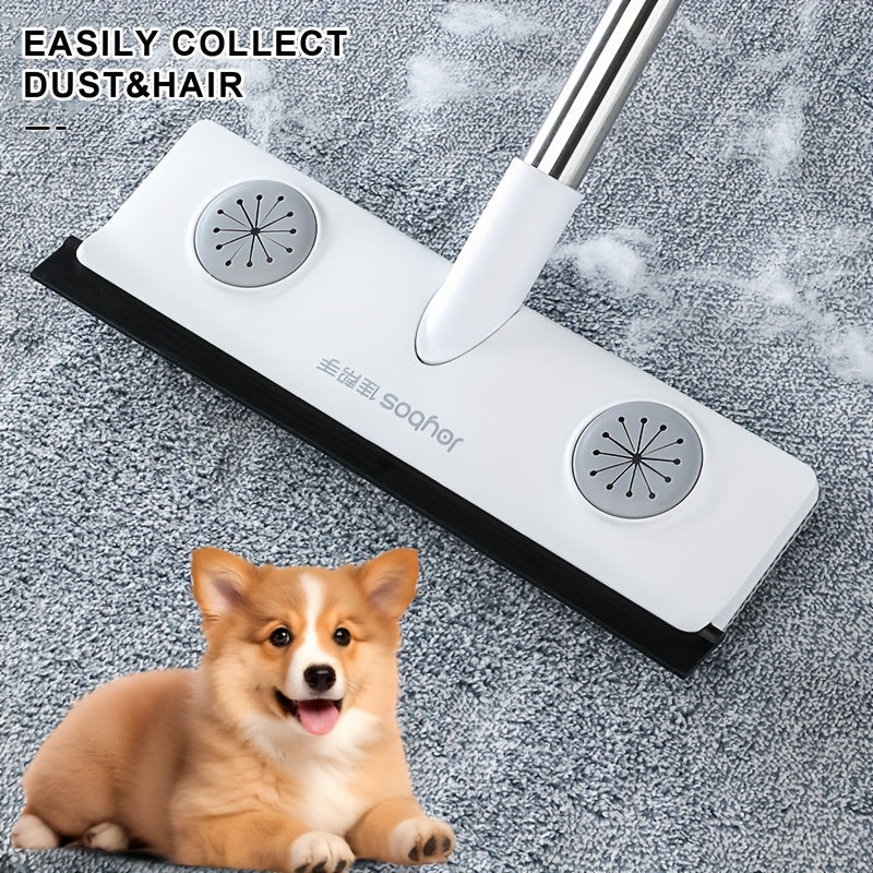 Pet Hair Remover Carpet Rake