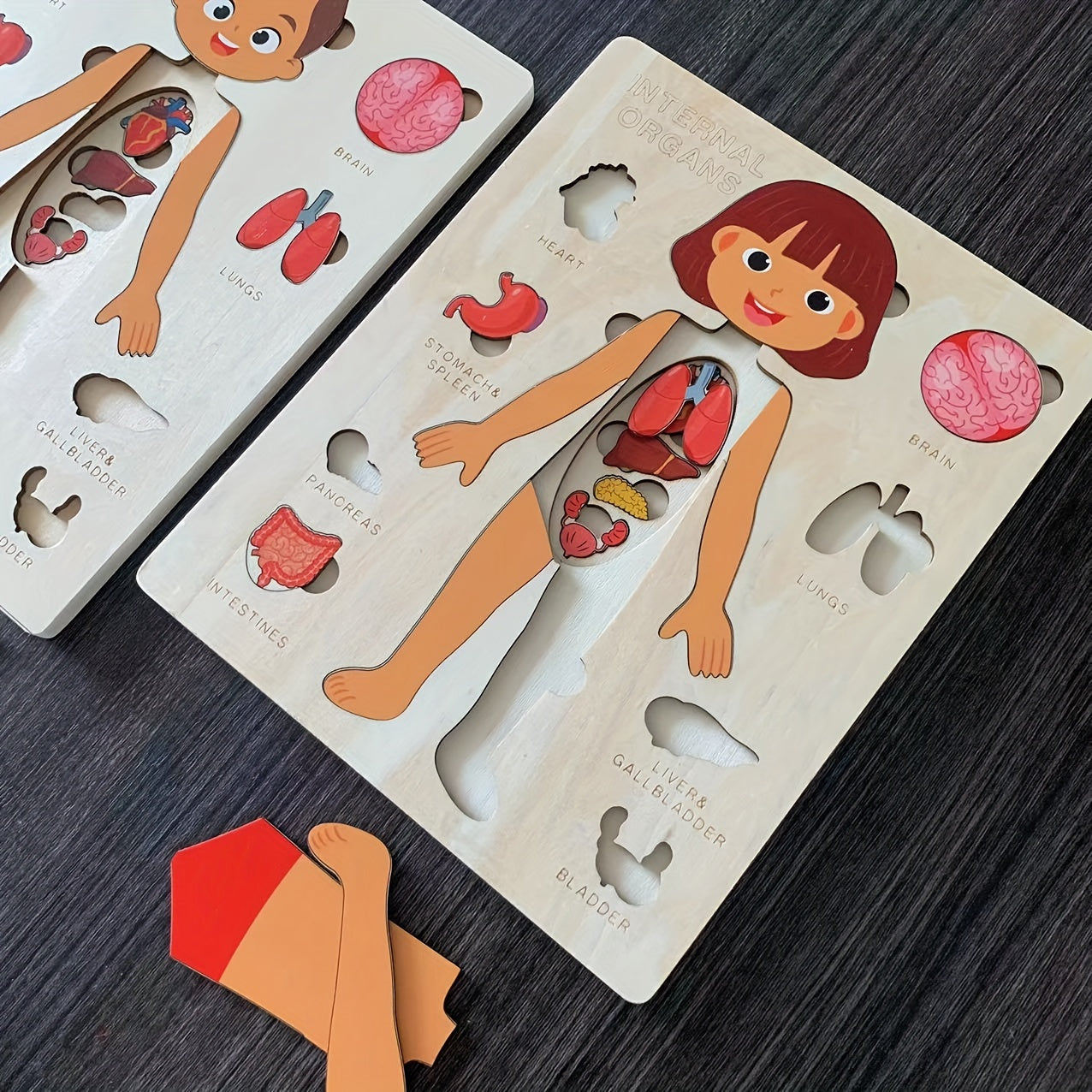 Children's Wooden Puzzle of the Human Body, Educational Tabletop Toy for Early Childhood Development, Encourages Parent-Child Interaction, Perfect for Mother and Baby Bonding, Ideal Toy for Children