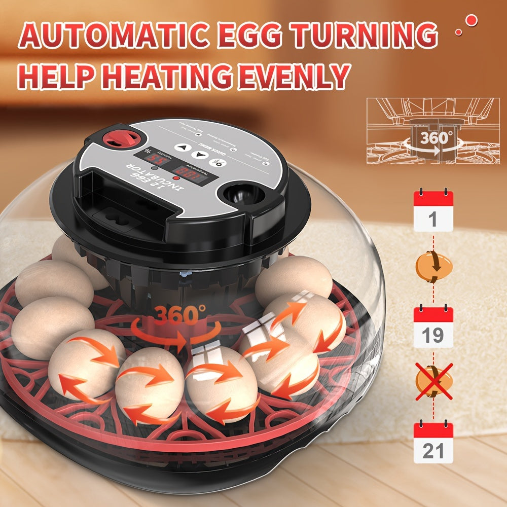 Package includes fully automatic incubator for 12 eggs with turning and humidity control, ideal for hatching various bird eggs at home.