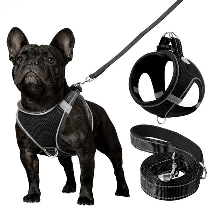 Joytale Reflective Dog Harness and Leash Set for small to medium breeds. Comfortable mesh vest with padded nylon lead, dual D-ring, poop bag dispenser.