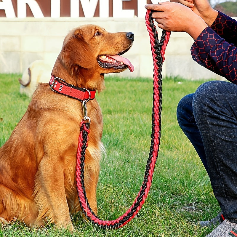 Heavy duty dog collar and leash set with braided training leash.