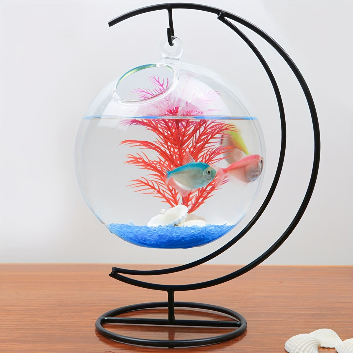 2 Glass Fish Tanks for Betta Fish and Home Decor