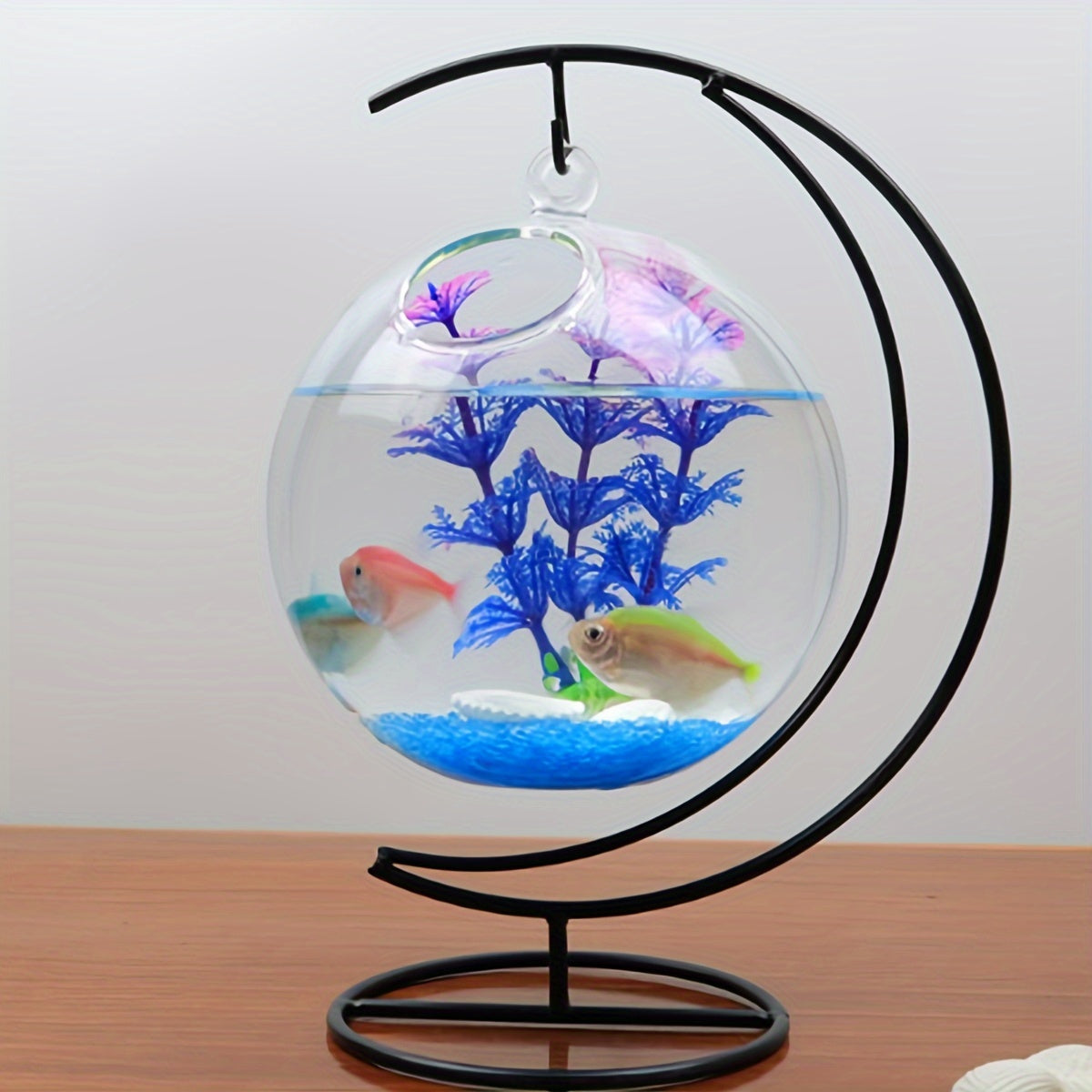 2 Glass Fish Tanks for Betta Fish and Home Decor