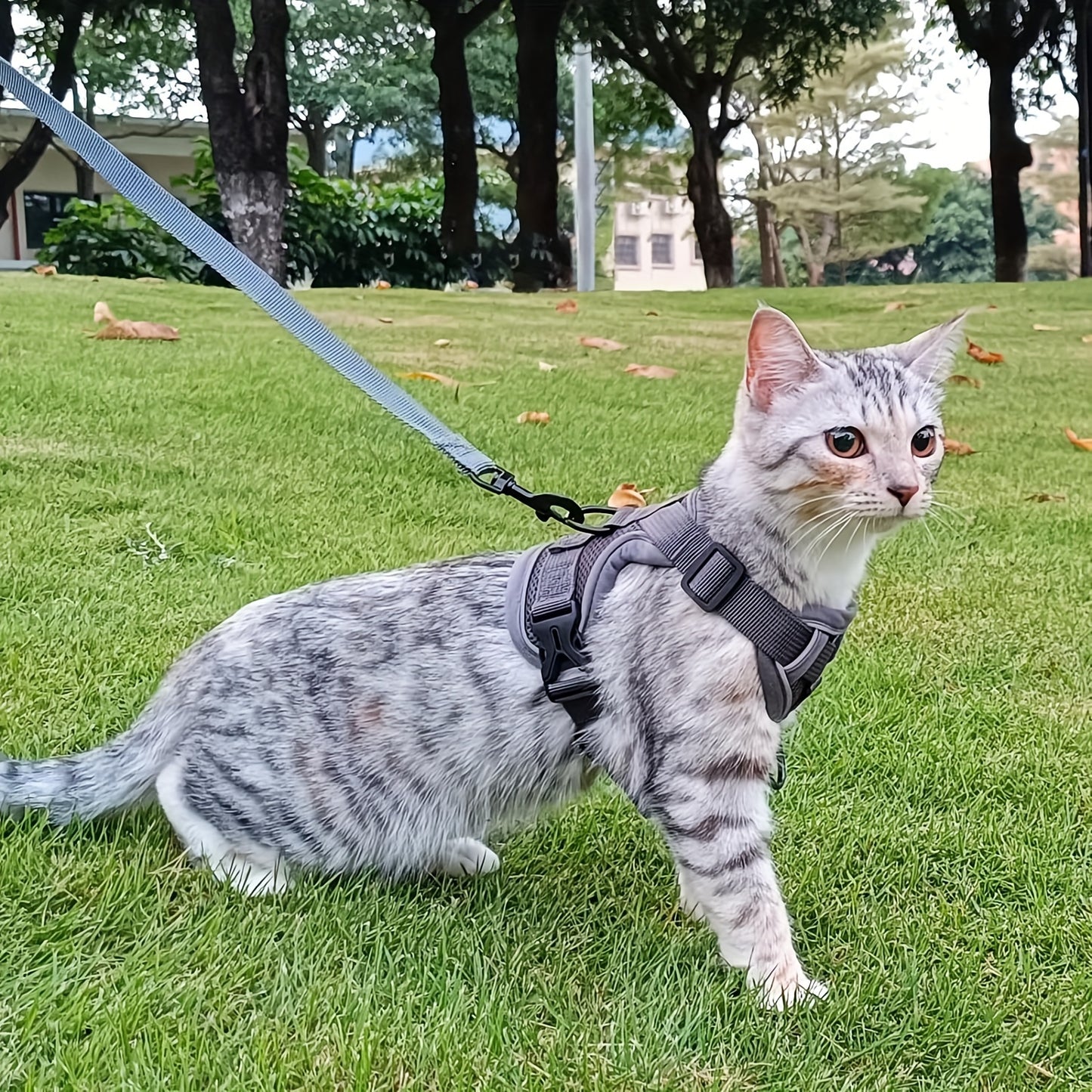 Extra large striped tactical cat harness with quick-release buckles made of machine washable polyester material.