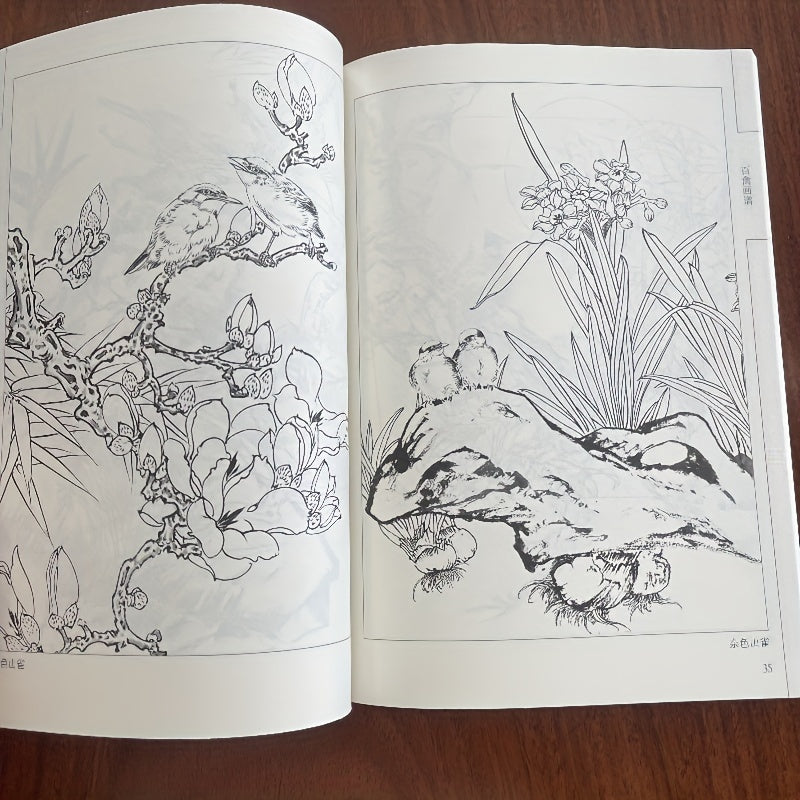 Chinese book featuring line drawing and white painting of birds, with a focus on Chinese style.