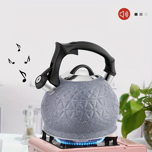 3L Stainless Steel Whistling Tea Kettle for Stovetop, Gas, Electric Induction - HausRoland, No Electricity Required