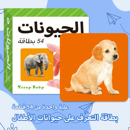 TEENYBABY 54-Card Arabic Language Learning Flashcards for Kids, Educational Animal Cards for Children Ages 1-6, Published by Sunshine Children'S Educational Association on 2023-09-22