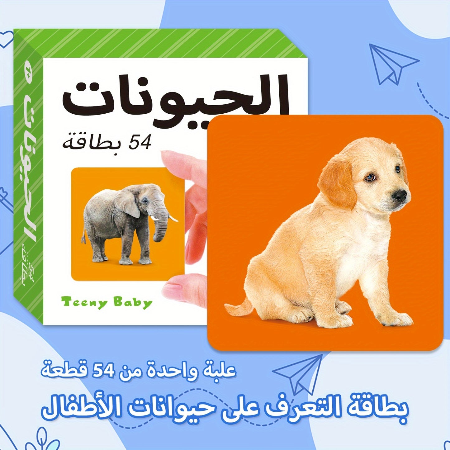 TEENYBABY 54-Card Arabic Language Learning Flashcards for Kids, Educational Animal Cards for Children Ages 1-6, Published by Sunshine Children'S Educational Association on 2023-09-22