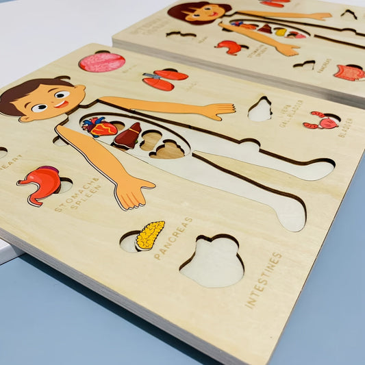 Kids' education through interactive wooden puzzles: fostering learning, cognitive development, understanding of human anatomy, and strengthening parent-child bonds with mother and baby toys.