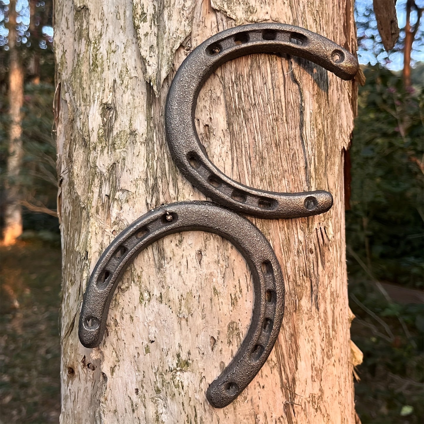 Durable metal horseshoe wall decor for parties and horse lovers.