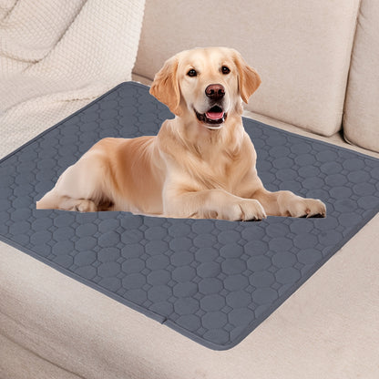 Washable waterproof dog training pad with non-slip hexagonal grip design for sofa protection, suitable for indoor use.