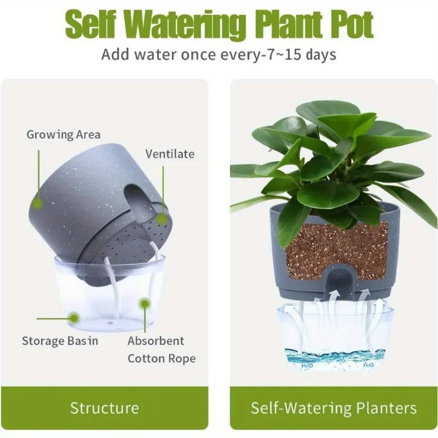 6 self-watering planters with double layer design, lightweight plastic pots, rope system, and easy injection port for indoor gardening.