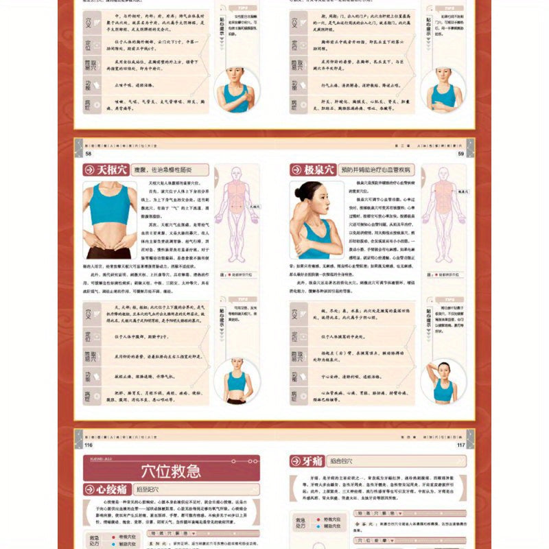 Colorful illustrated book on human body acupoints for common diseases, with introduction to Traditional Chinese Medicine and quick acupoint selection.