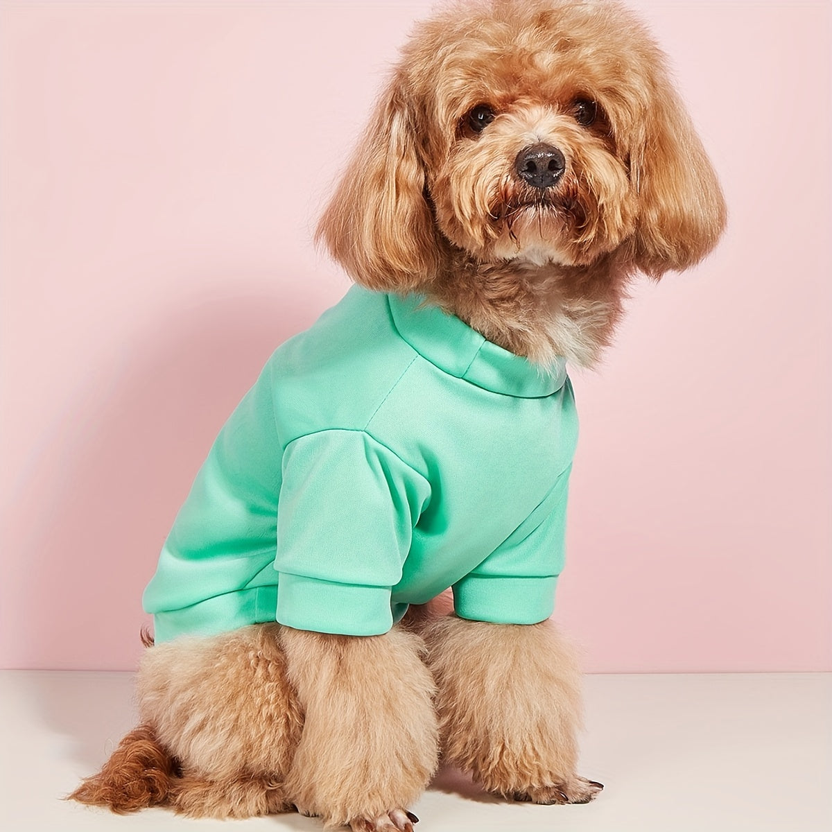 Quick Dry Pet Tee for Summer Parties - Cute and Casual