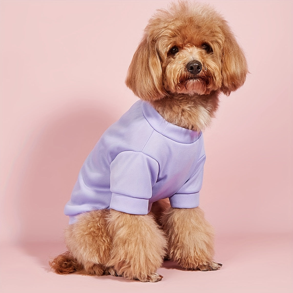 Quick Dry Pet Tee for Summer Parties - Cute and Casual