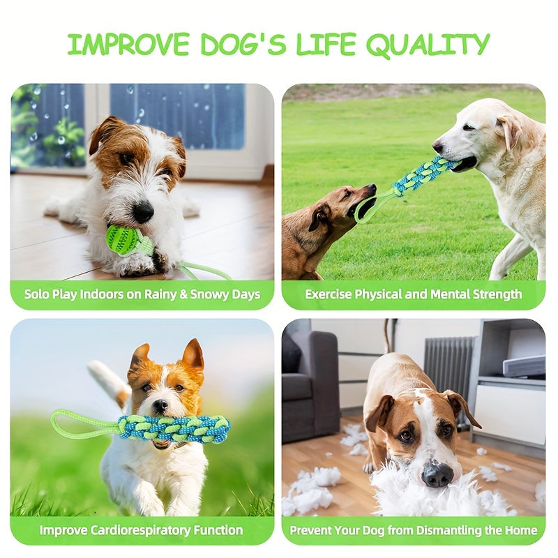 Dog toy and potty for indoor/outdoor use