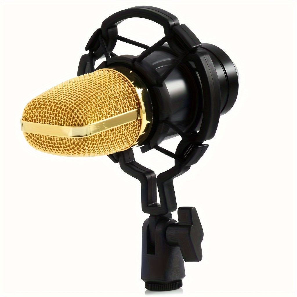 Condenser microphone for live game singing.