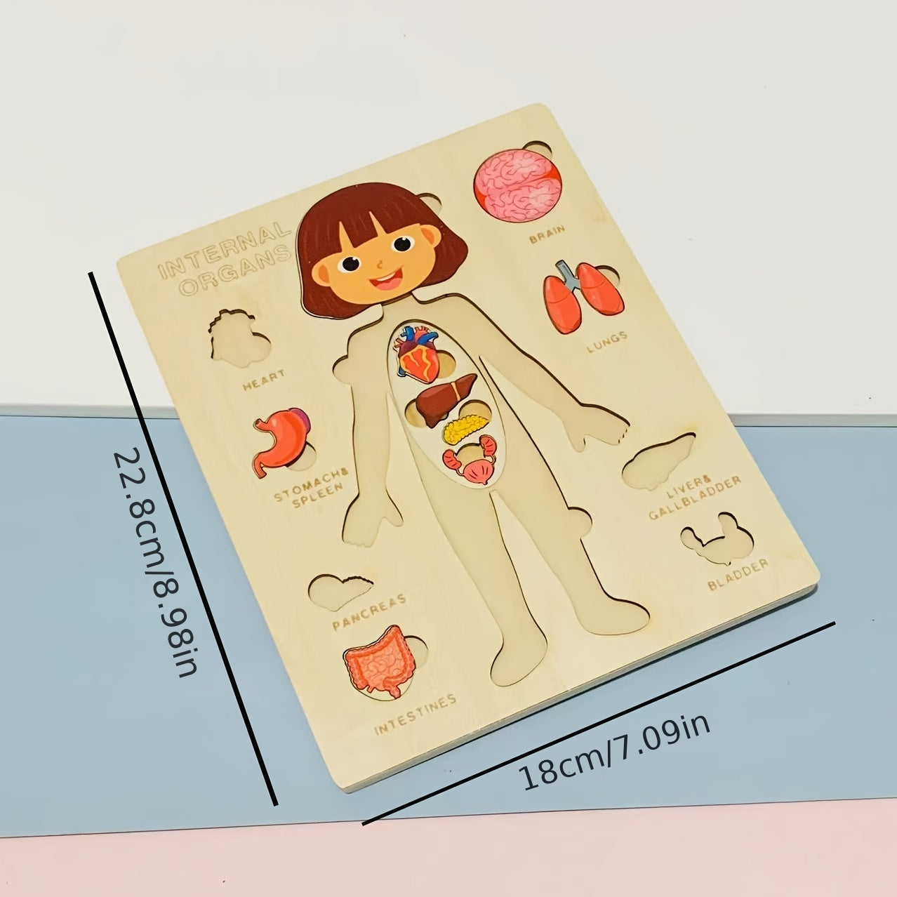 Children's Wooden Puzzle of the Human Body, Educational Tabletop Toy for Early Childhood Development, Encourages Parent-Child Interaction, Perfect for Mother and Baby Bonding, Ideal Toy for Children