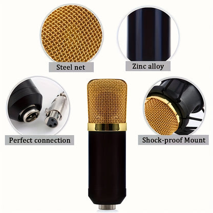 Condenser microphone for live game singing.