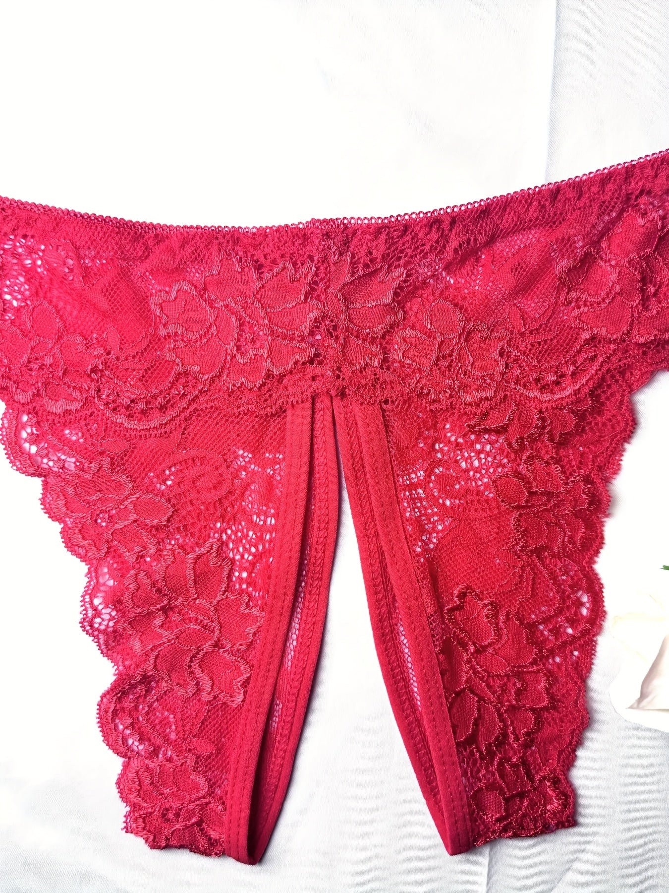 Women's lace trim triangle lingerie and sexy mesh open crotch panties.