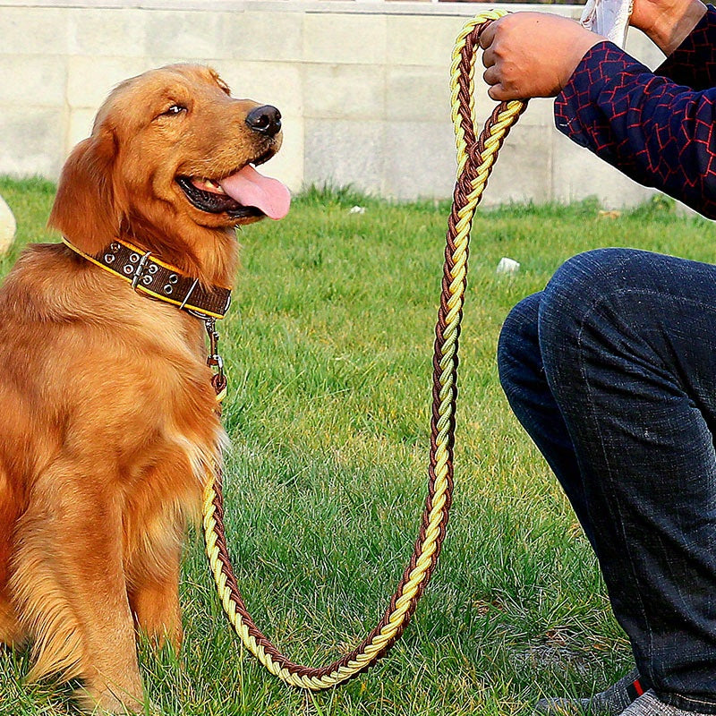 Heavy duty dog collar and leash set with braided training leash.