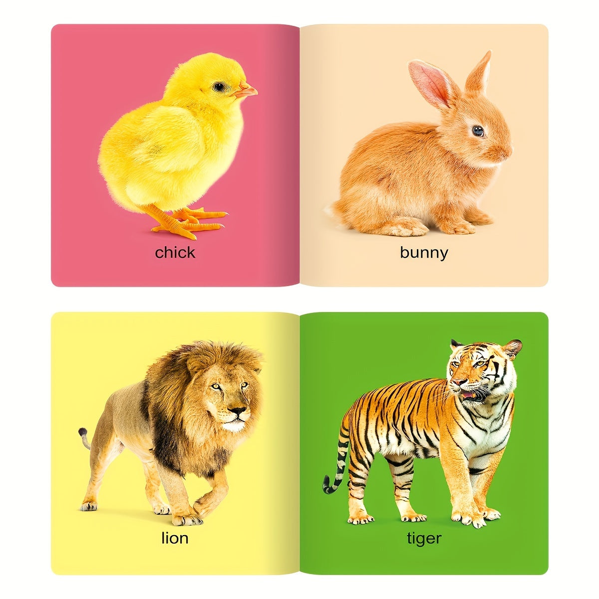 1 set of 10 children's books for learning object recognition in English featuring apple covers