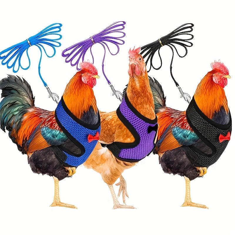 New adjustable chicken chest harness with leash for poultry training.