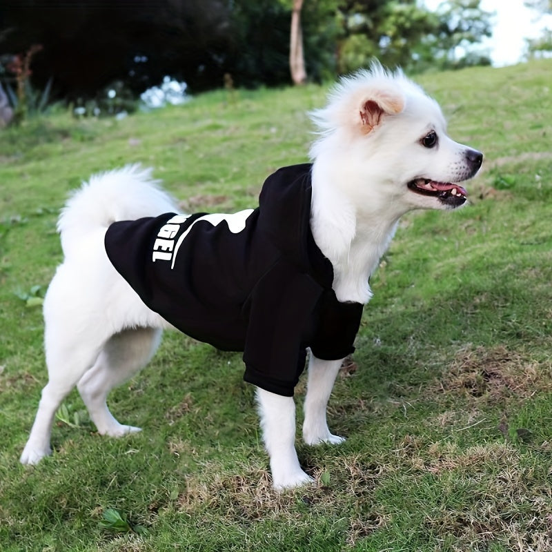 Stylish pet hoodie for fashionable dogs.