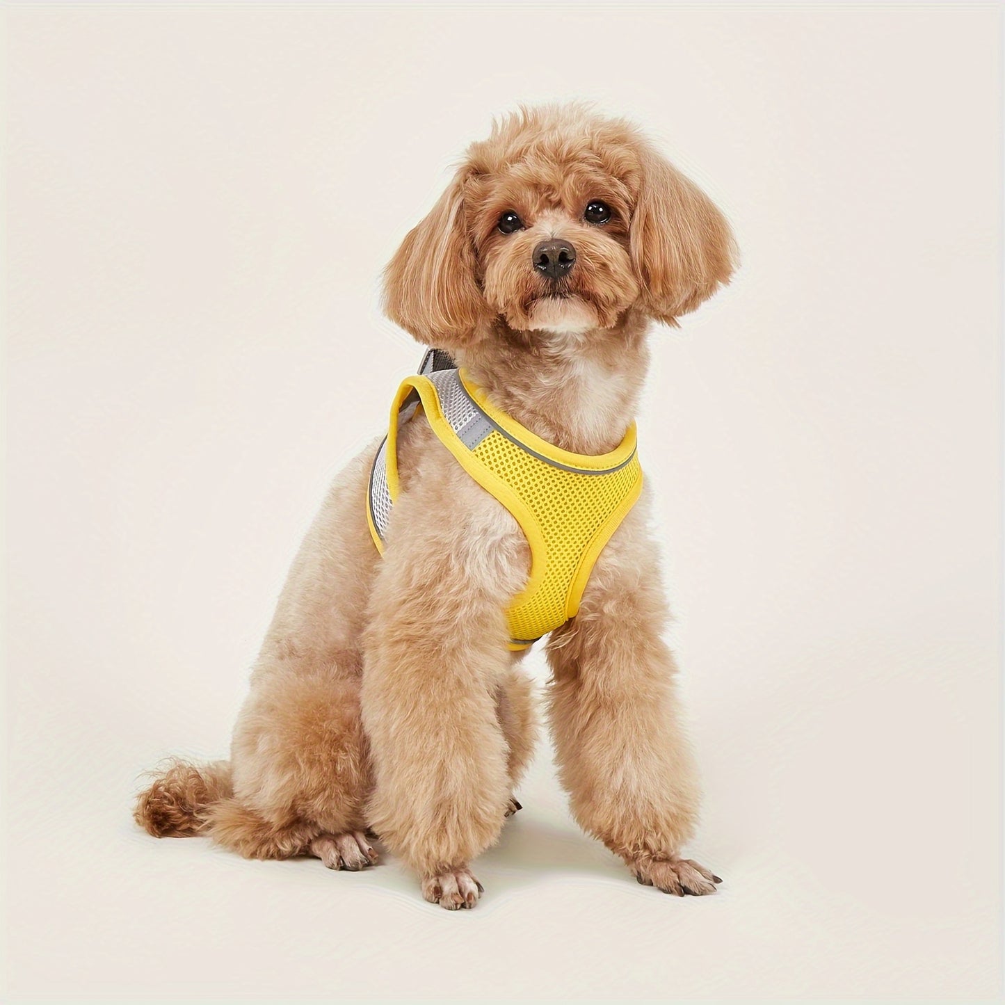 Soft mesh pet harness with reflective strip for small cats and dogs, providing comfort and safety.