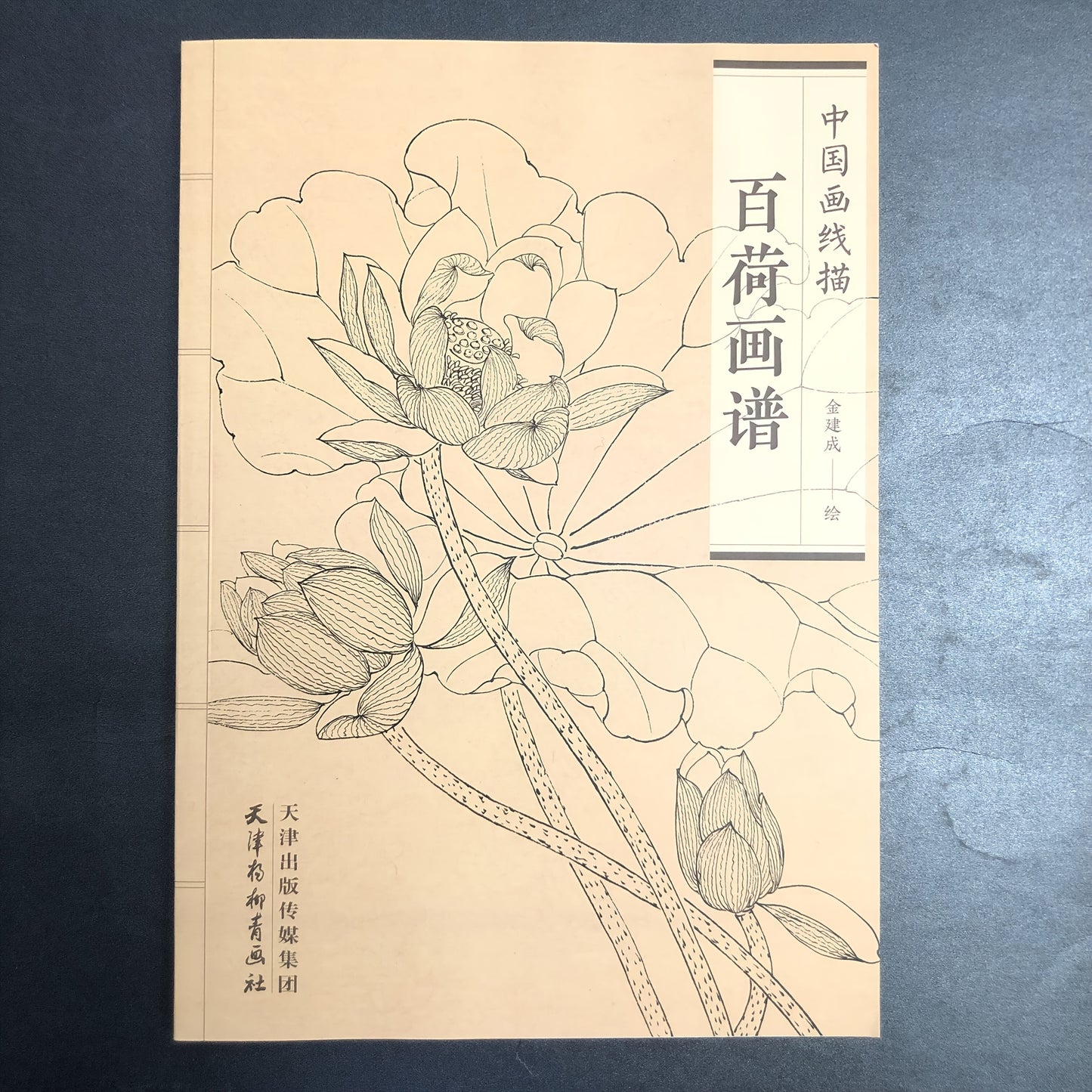 Chinese Traditional Art Painting Manual