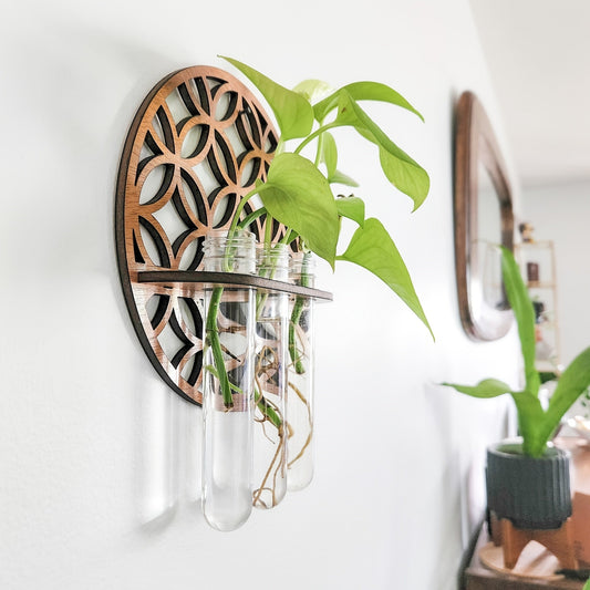 Stylish Wall-Mounted Propagation Station featuring 3 Test Tubes - Ideal for Hydroponic Plant Cuttings, Home Decor, and Gifts