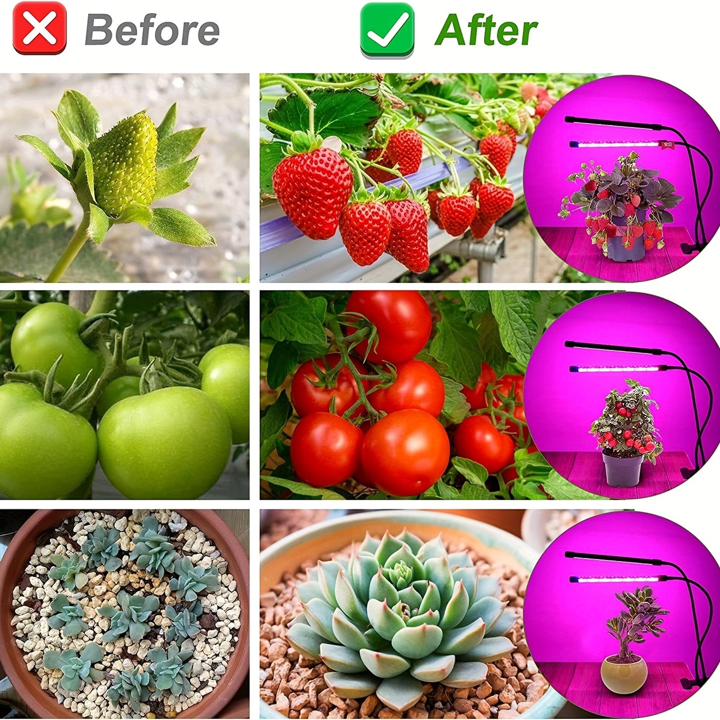 Achieve healthy indoor plant growth with this USB Phyto Lamp LED Grow Light!