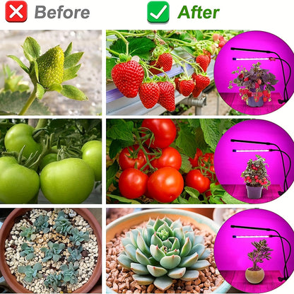 Achieve healthy indoor plant growth with this USB Phyto Lamp LED Grow Light!