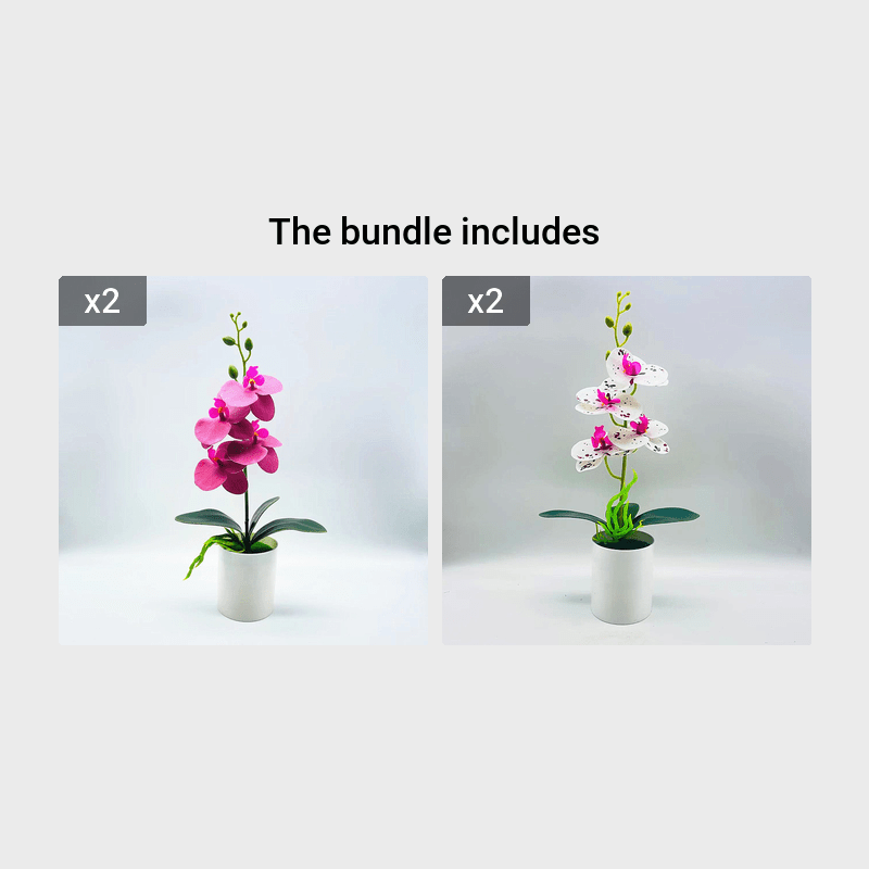 Real touch artificial Phalaenopsis orchids in vase - ideal for home or office decor, weddings, and bonsai plants.