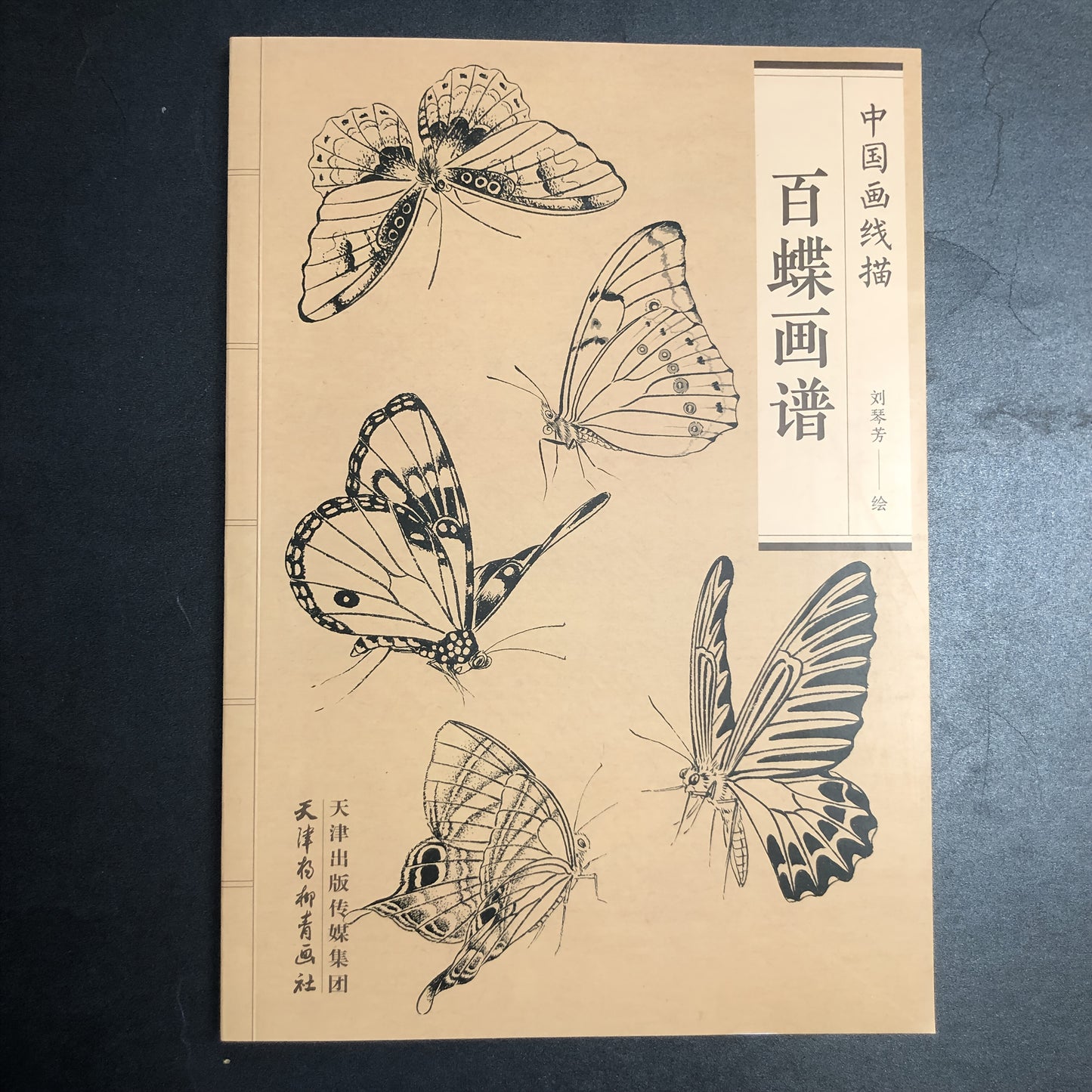 Chinese version of Painting Book of Hundred Butterflies, with line drawing.