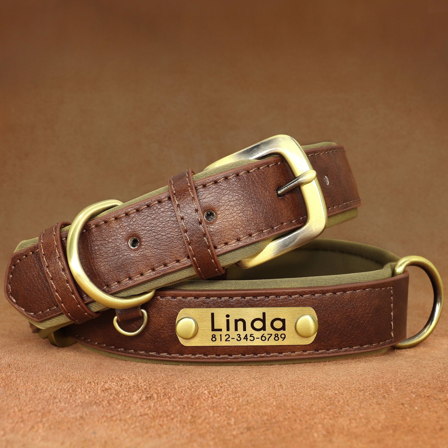 Customized Dog Collar made with faux leather, neoprene padding, and durable nameplate for small to medium dogs.