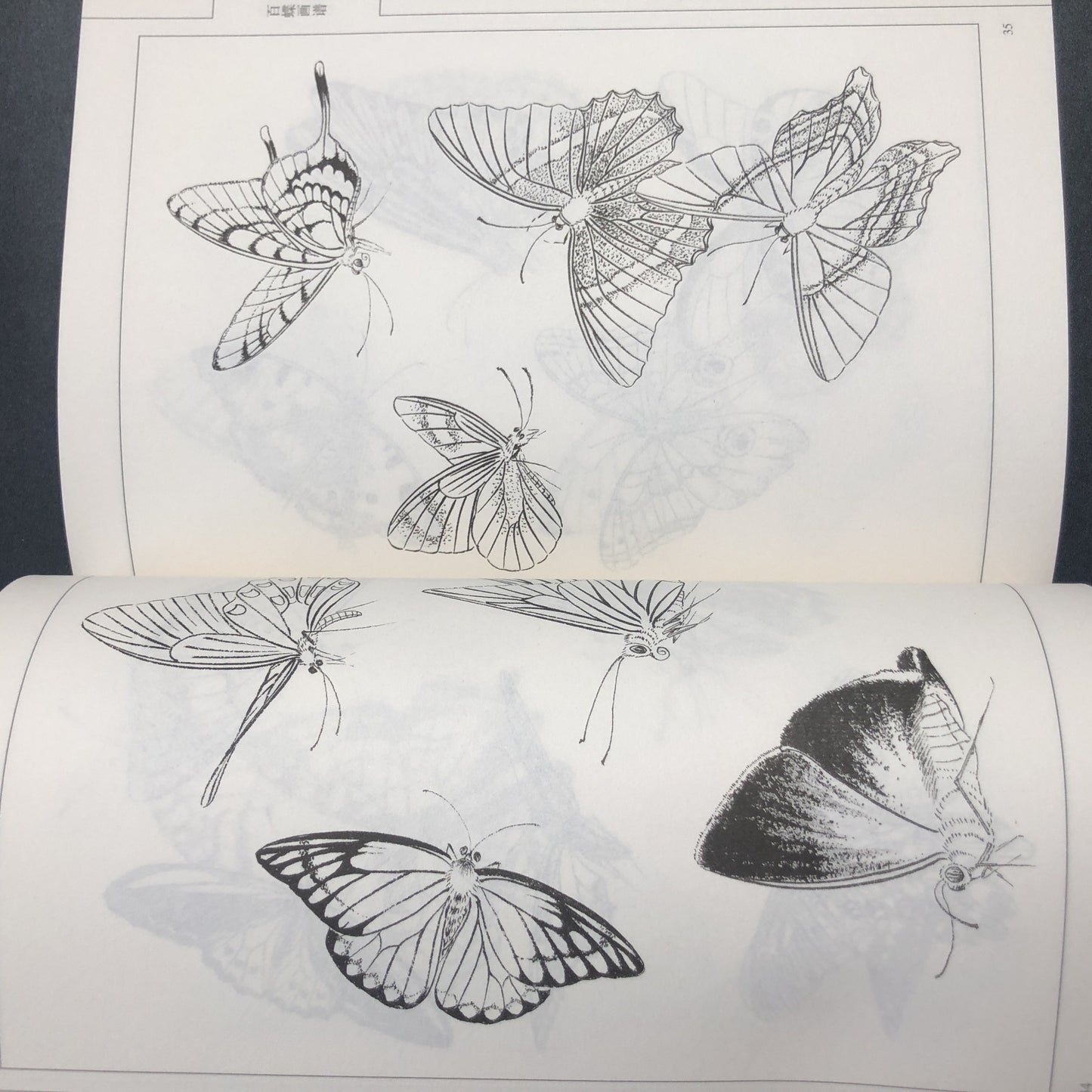 Chinese version of Painting Book of Hundred Butterflies, with line drawing.