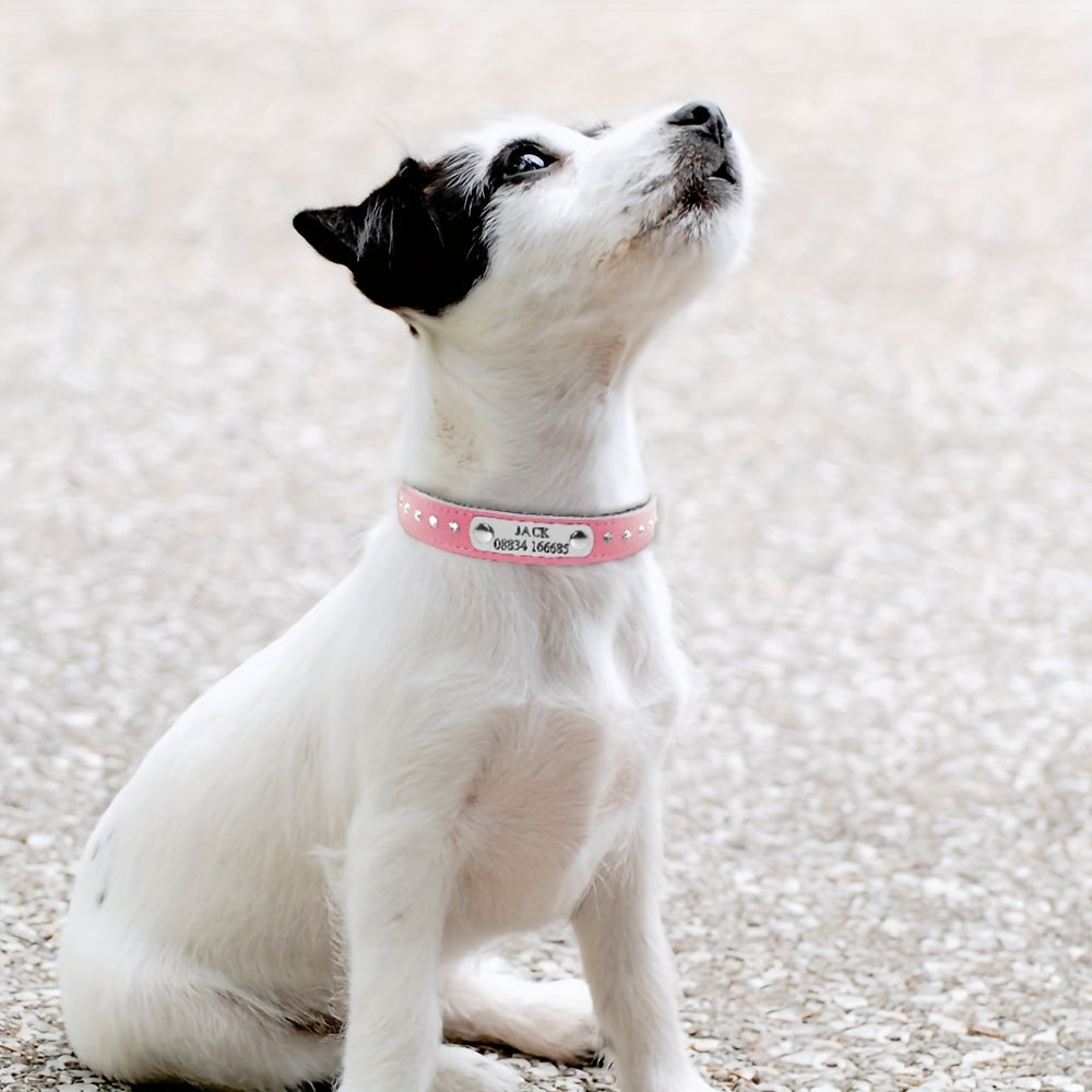 Custom leather pet collar with nameplate, adjustable for small dogs and kittens, free engraving, durable.