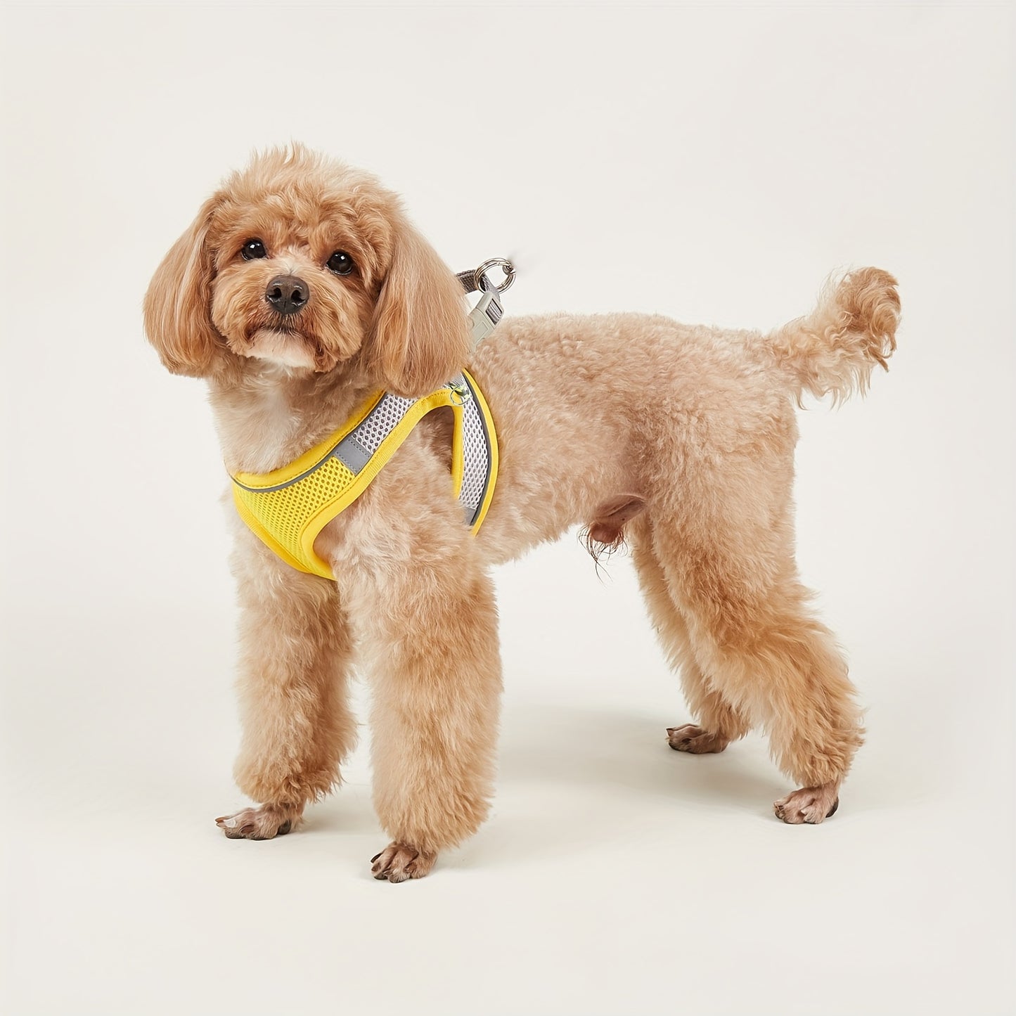 Soft mesh pet harness with reflective strip for small cats and dogs, providing comfort and safety.