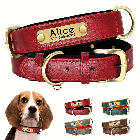 Customized Dog Collar made with faux leather, neoprene padding, and durable nameplate for small to medium dogs.