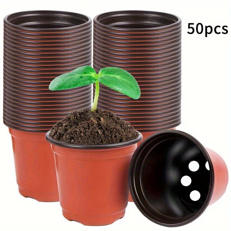 50 seedling pots with drainage holes for growing succulents, vegetables, saplings, and flowers.