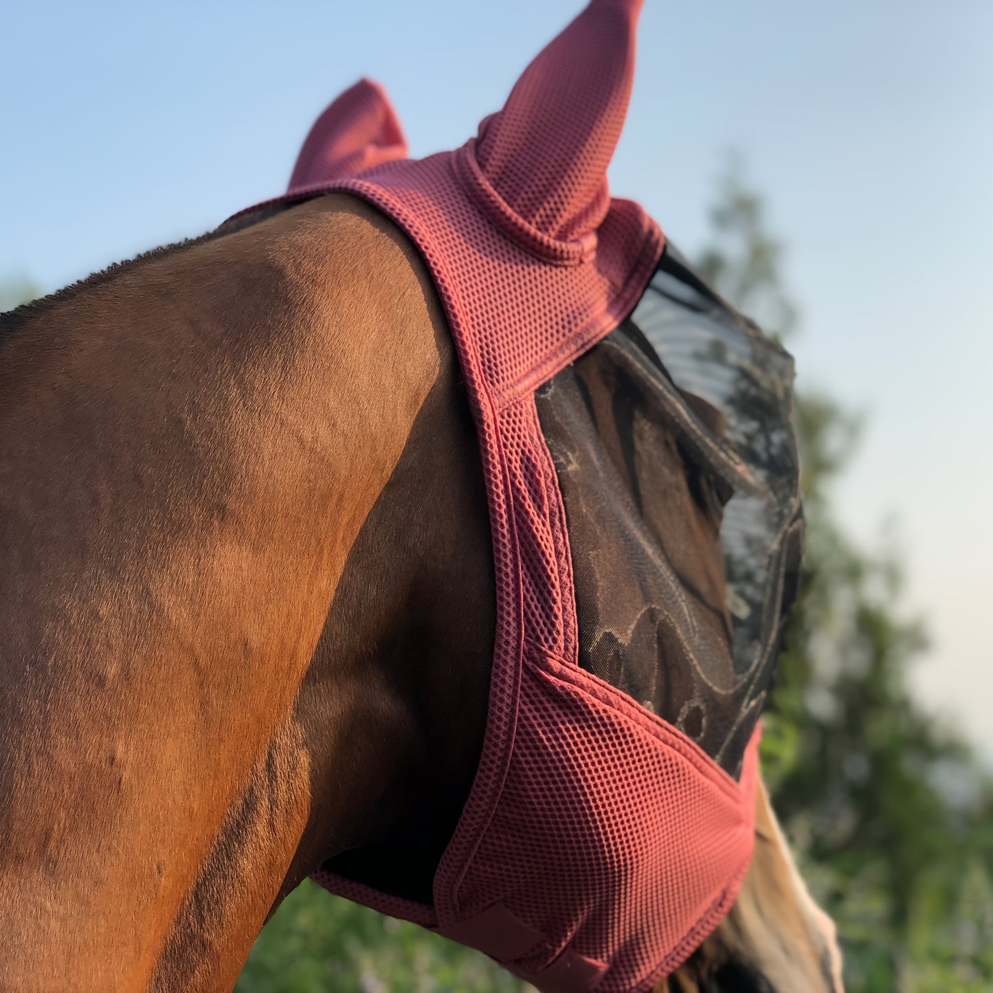 Mosquito and fly horse mask offers 86% UV protection, breathable 3D mesh with high elasticity.