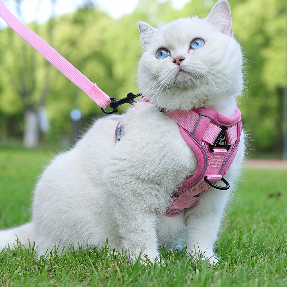 Reflective, breathable vest-style cat harness set with walking rope for outdoor walks and training.