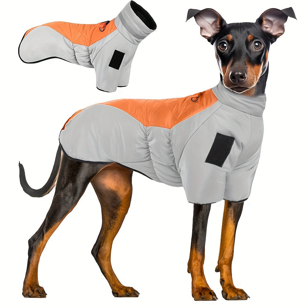 Waterproof winter dog jacket with warm, reflective material and D-ring for medium breeds.