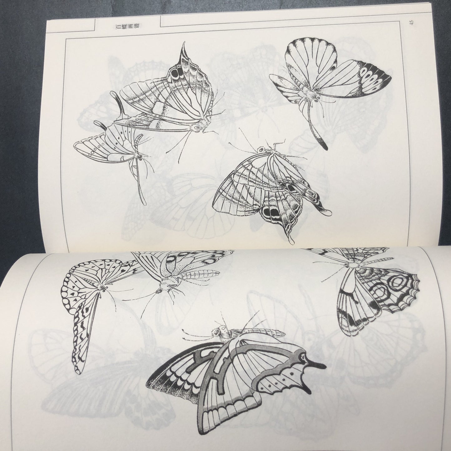 Chinese version of Painting Book of Hundred Butterflies, with line drawing.