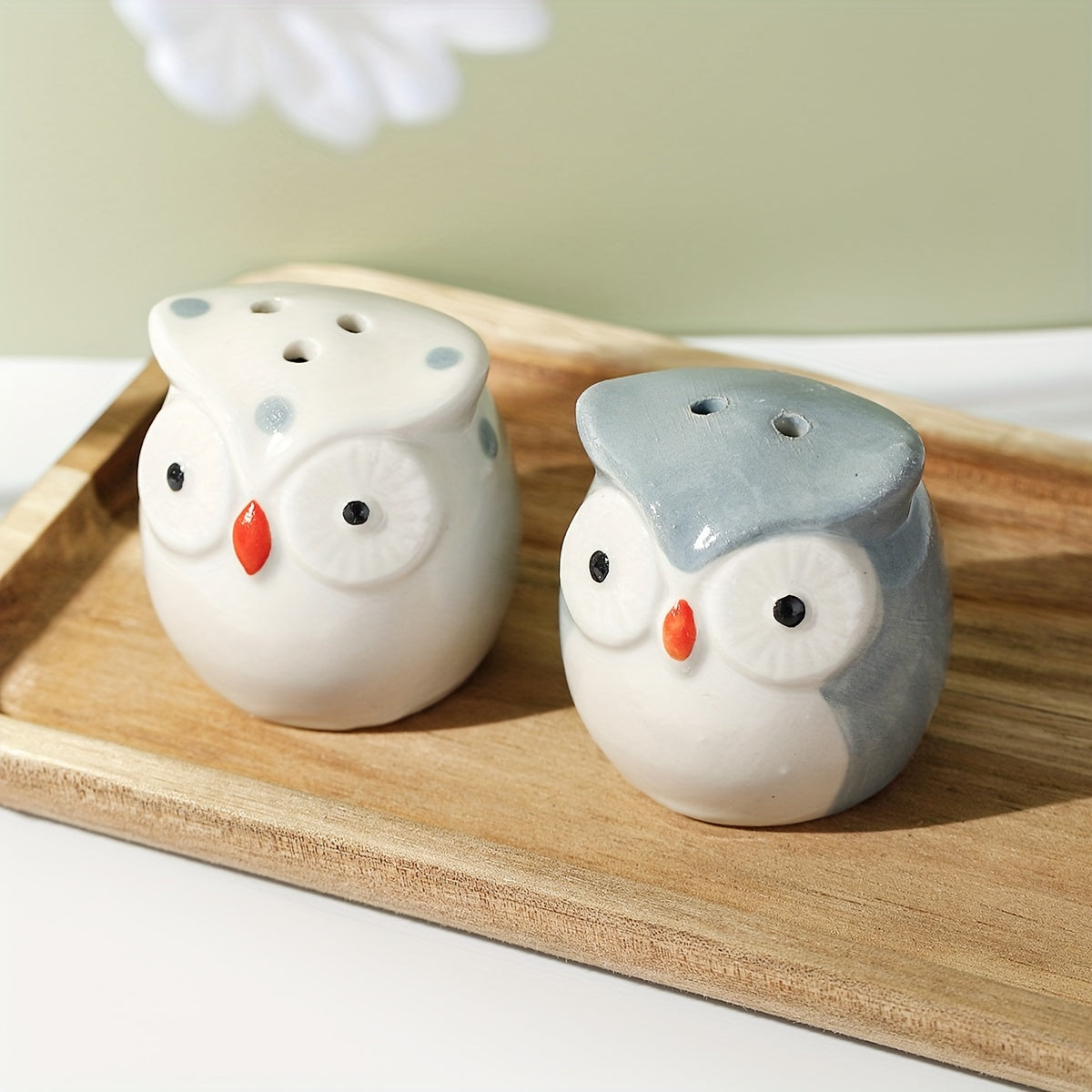 Set of 2 owl-themed ceramic salt and pepper shakers for outdoor picnics and BBQs, perfect for kitchen decor and gifting.